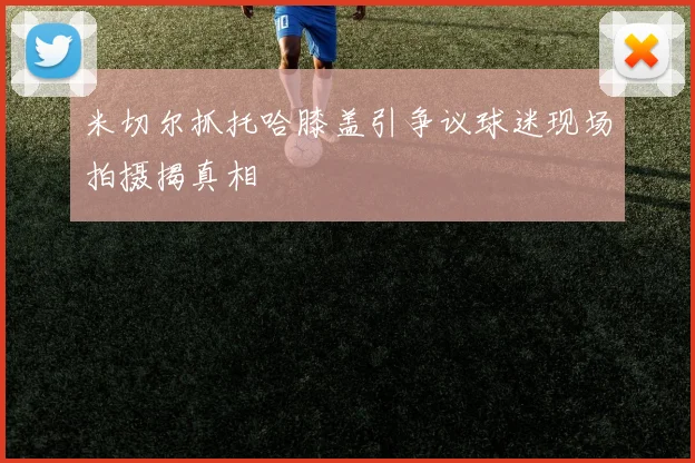 米切尔抓托哈膝盖引争议球迷现场拍摄揭真相