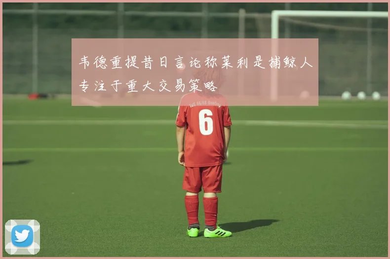 韦德重提昔日言论称莱利是捕鲸人专注于重大交易策略
